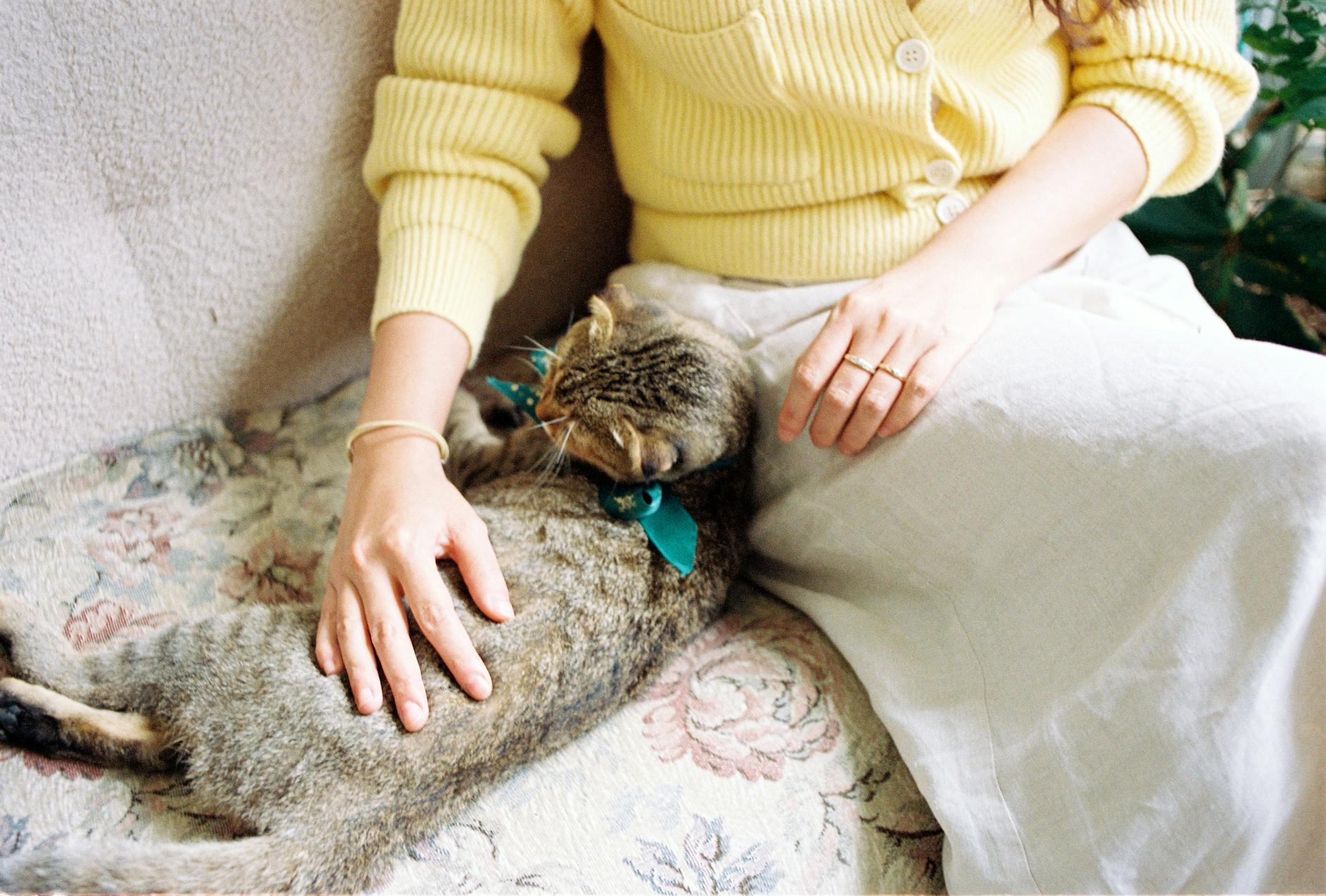 Rest Without Guilt: Why Doing Nothing is Doing Something